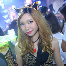 Nightlife in Osaka-CLUB AMMONA Nightclub 2015.07(61)
