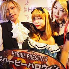 Nightlife di Hiroshima-HERBIE HIROSHIMA Nightclub 2016.10(32)