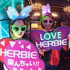 Nightlife di Hiroshima-HERBIE HIROSHIMA Nightclub 2016.11(26)