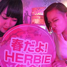 ผับในฮิโระชิมะ-HERBIE HIROSHIMA ผับ 2017.04(16)