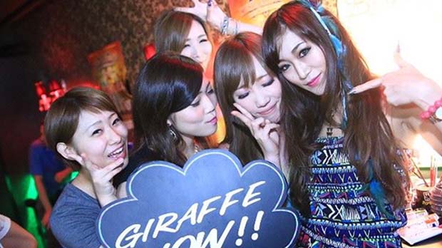 Nightlife di Osaka-Giraffe Osaka Nightclub(3)