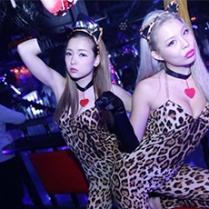 Nightlife in Osaka-CLUB AMMONA Nightclub 2015.10(44)
