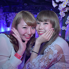 Nightlife in Osaka-CLUB AMMONA Nightclub 2016.04(64)