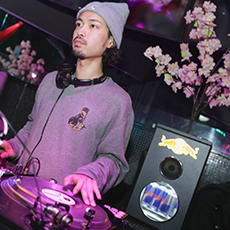 Nightlife in KYOTO-BUTTERFLY Nightclub 2015.04(23)