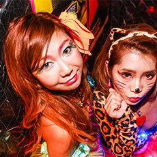 东京夜生活/六本木-Cat's TOKYO 夜店　2015 HALLOWEEN(18)