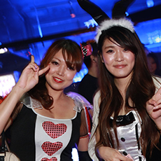 Nightlife di Tokyo/Roppongi-Cat's TOKYO Nightclub 2015 HALLOWEEN(24)