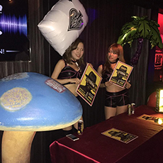 Nightlife in Osaka-CHEVAL OSAKA Nihgtclub 2015.10(34)