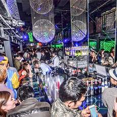 Nightlife in Osaka-CHEVAL OSAKA Nightclub 2015.11(42)