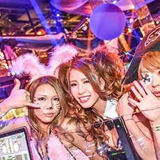 Nightlife in Osaka-CHEVAL OSAKA Nightclub 2016.10(7)