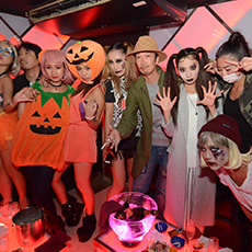 오사카밤문화-GHOST ultra lounge 나이트클럽 2015.10(14)