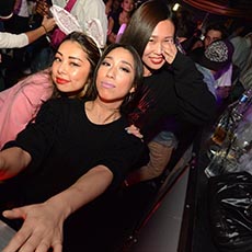 Nightlife in Osaka-GHOST ultra lounge Nightclub 2017.10(19)
