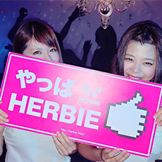 히로시마밤문화-HERBIE HIROSHIMA 나이트클럽 2016(1)
