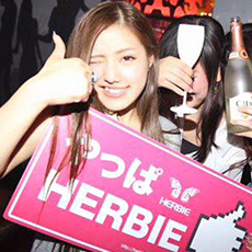 히로시마밤문화-HERBIE HIROSHIMA 나이트클럽 2016(14)