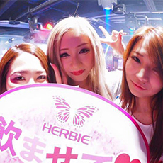 히로시마밤문화-HERBIE HIROSHIMA 나이트클럽 2016(18)