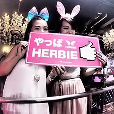Nightlife di Hiroshima-HERBIE HIROSHIMA Nightclub 2016.06(21)