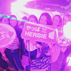 히로시마밤문화-HERBIE HIROSHIMA 나이트클럽 2016.11(14)