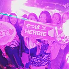 히로시마밤문화-HERBIE HIROSHIMA 나이트클럽 2016.11(17)