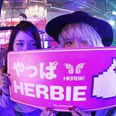 Nightlife di Hiroshima-HERBIE HIROSHIMA Nightclub 2016.11(18)