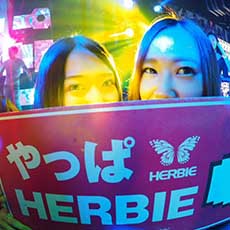 Nightlife in Hiroshima-HERBIE HIROSHIMA Nightclub 2016.11(35)