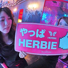 Nightlife in Hiroshima-HERBIE HIROSHIMA Nightclub 2017.09(6)