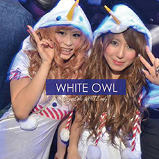 Nightlife di Osaka-OWL OSAKA Nightclub 2015.01(42)