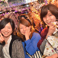 Nightlife in Osaka-OWL OSAKA Nightclub 2015.04(4)