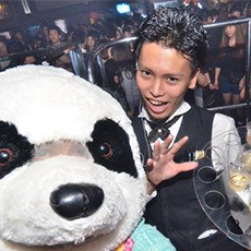 Nightlife di Osaka-OWL OSAKA Nightclub 2015.10(4)