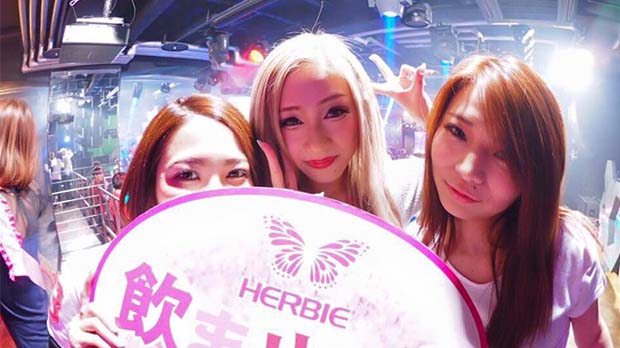 Nightlife in HIROSHIMA-HERBIE HIROSHIMA Nightclub(4)